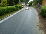 Hochwasser 2013 001